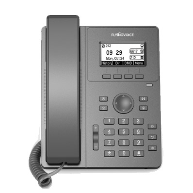 Telefone-IP-P10