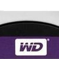 HD-Para-Vigilancia-1TB---WD-Purple-Western