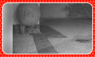 camera-dome-ds-2cd2720f-iz-hikvision